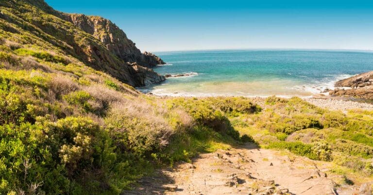 Walks and hikes near adelaide