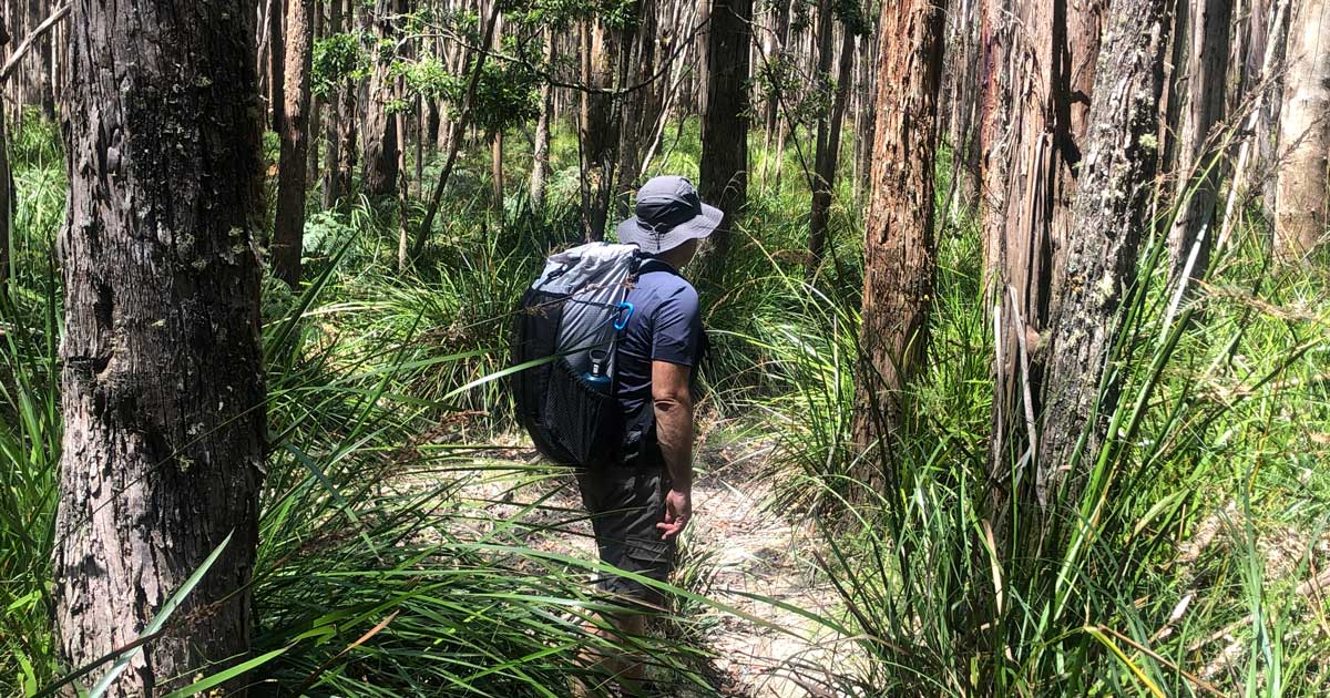 Neve Gear Wallaroo 45L Framed Backpack V2 Review The wallaroo demonstrated thoughtful design