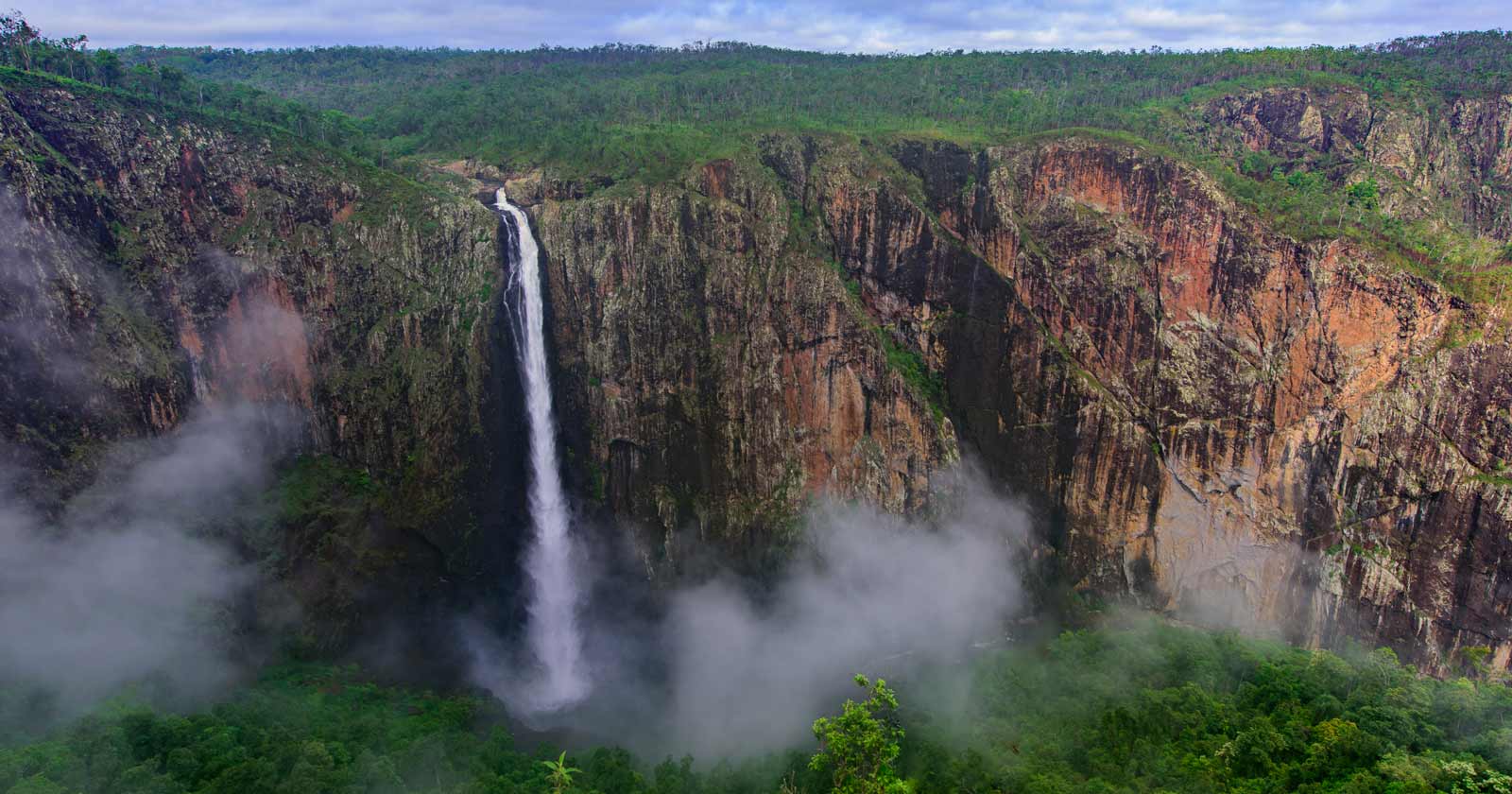 Wet tropics great walk (queensland)