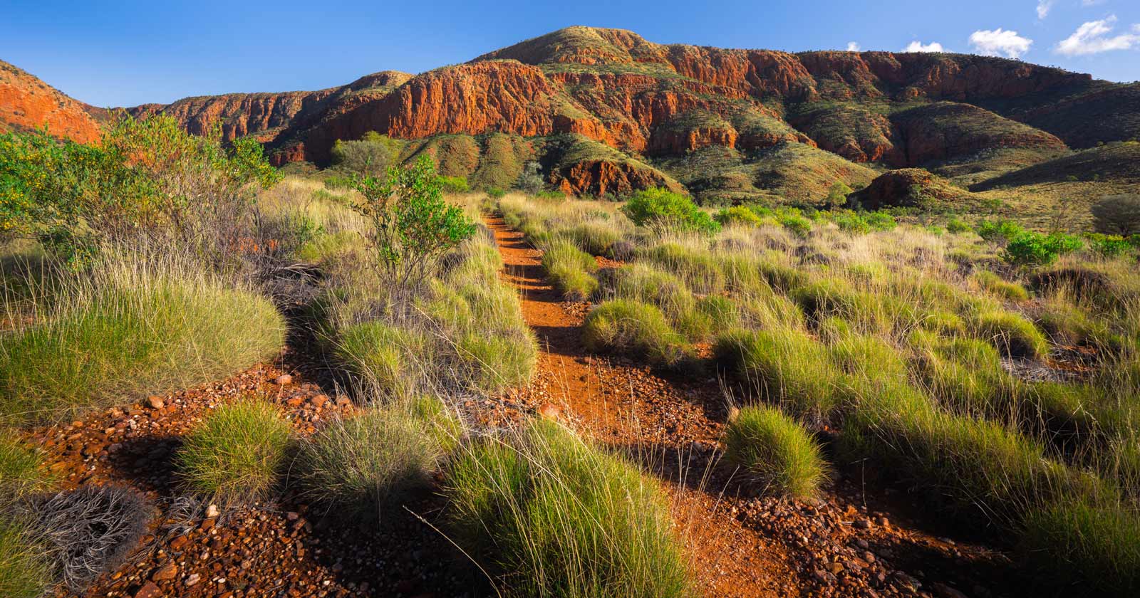 Adapting the guidelines for australia