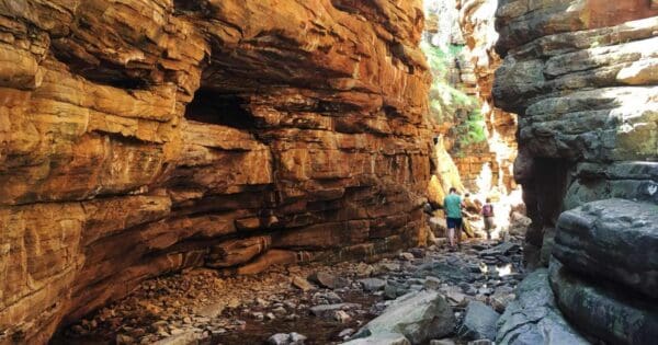 Alligator Gorge Circuit Alligator gorge circuit