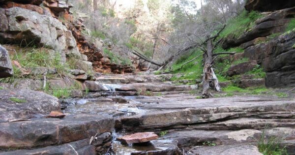 Alligator Gorge Ring Route Circuit Alligator gorge ring route circuit