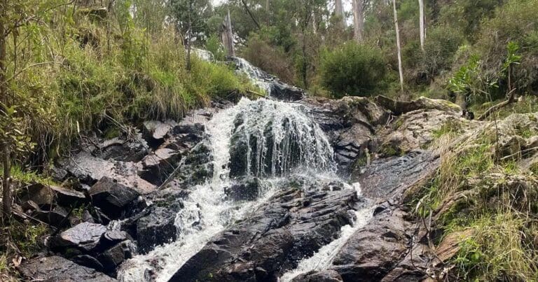 Back creek falls walk