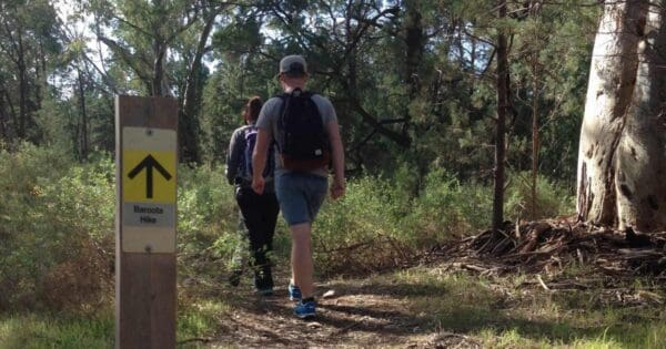 Baroota Hike Baroota hike