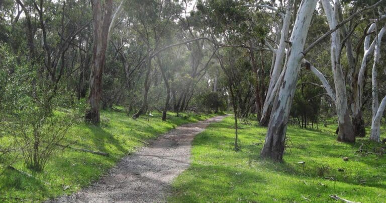 Find a hike or bushwalk
