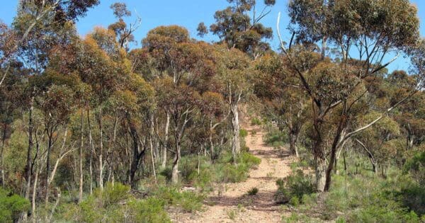 Black range hike