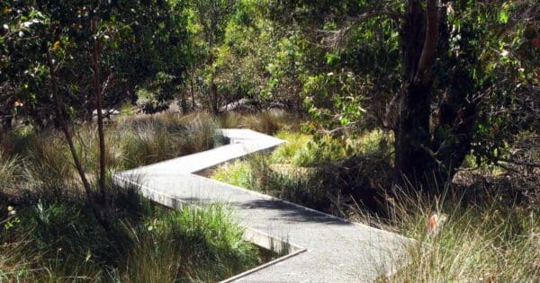 Black swamp circuit