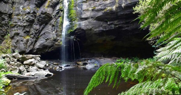 Horseshoe Falls Otways Horseshoe falls otways
