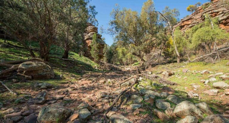 Jacks Creek Walking Track Jacks creek walking track