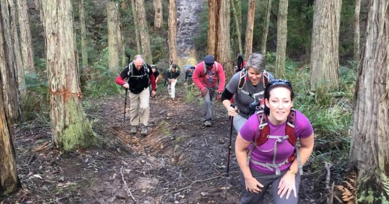 Join australia's bushwalking clubs