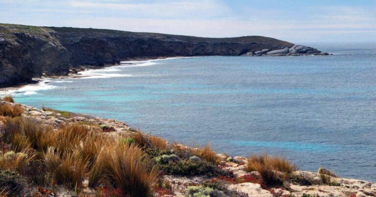 Walks and hikes near adelaide
