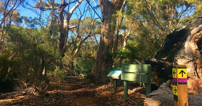Walks and hikes near adelaide