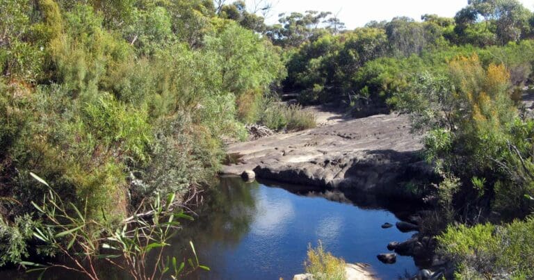 Walks and hikes near adelaide