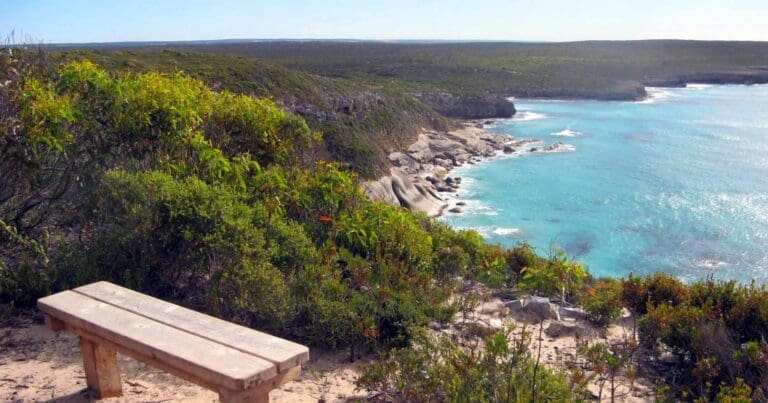 Walks and hikes near adelaide