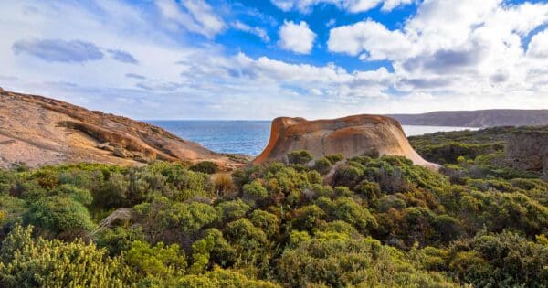 Kangaroo Island Wilderness Trail Kangaroo island wilderness trail