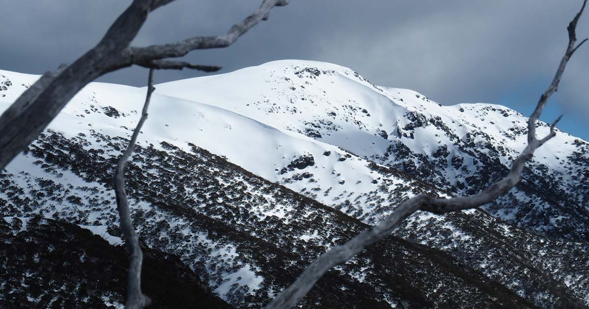 Australia's highest mountains by state and territory Mount bogong