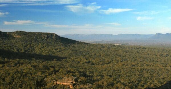 Mount byron summit walk