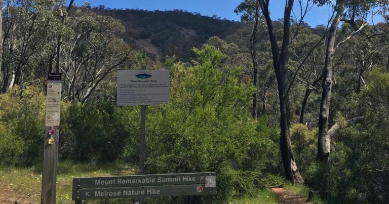 Walks and hikes near adelaide