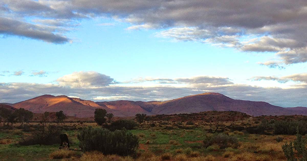 Australia's highest mountains by state and territory Ngarutjaranya