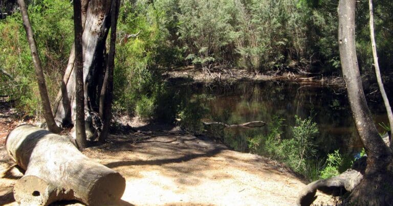 Platypus Waterholes Circuit Platypus waterholes circuit