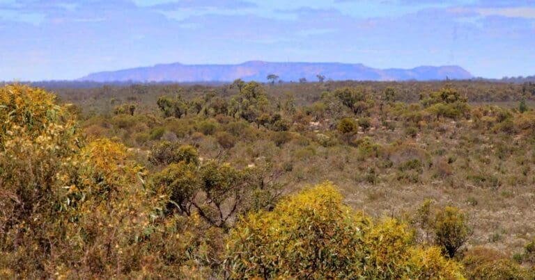 Pomponderoo Hill Nature Walk Pomponderoo hill nature walk