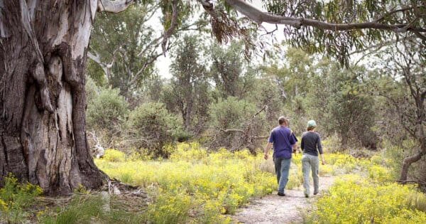 Sanctuary-keith hately nature walk