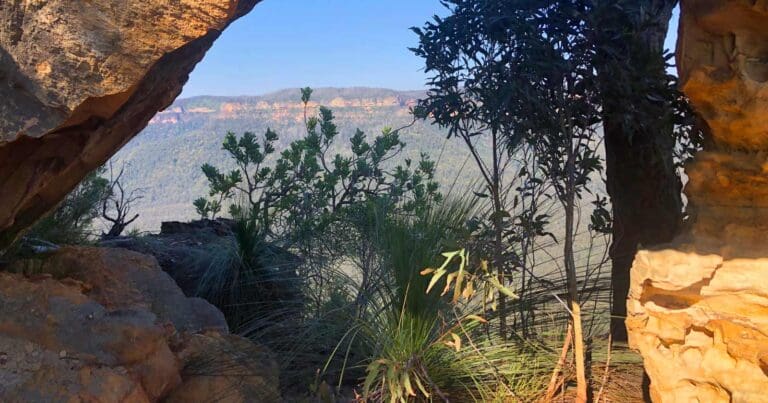 Scenic world to mt solitary