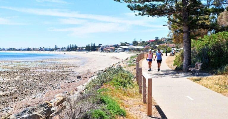 Find a hike or bushwalk