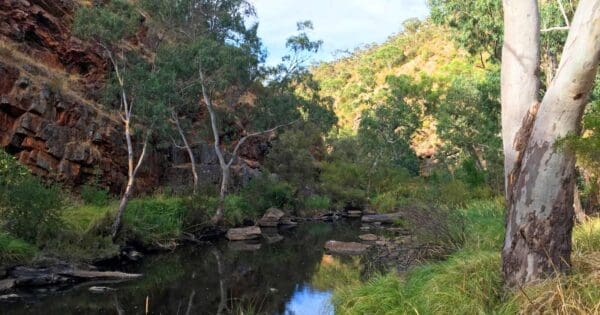 Sundews River Gorge Circuit Sundews river gorge circuit