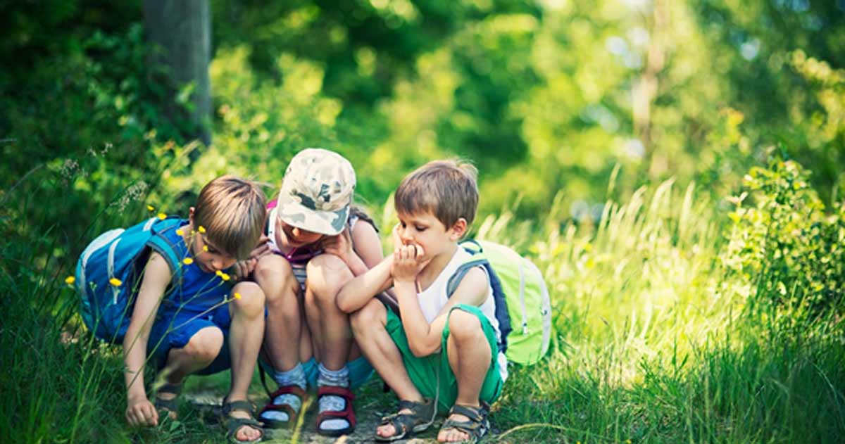 Sunscreen doesn't attract bugs