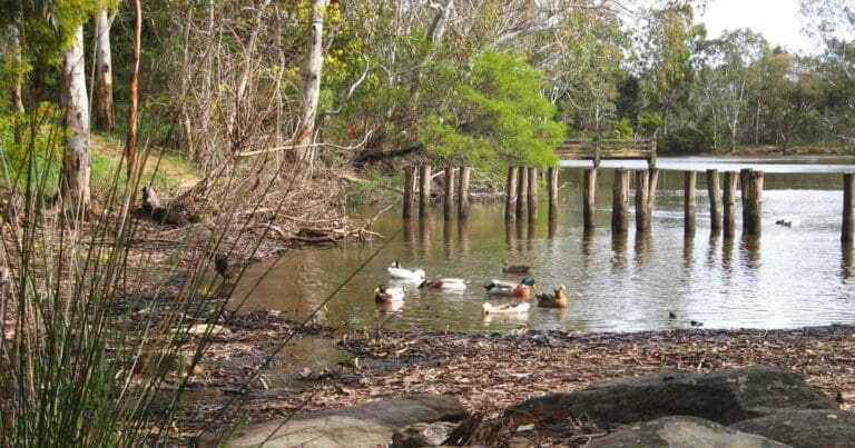 Find a hike or bushwalk