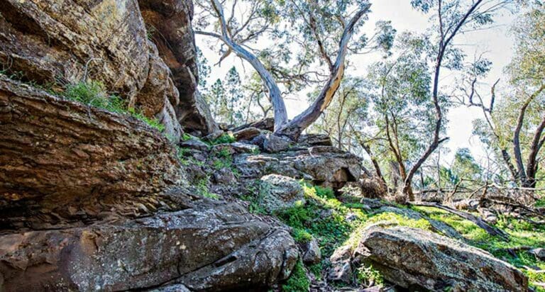 Woolshed Falls Walking Track Woolshed falls walking track