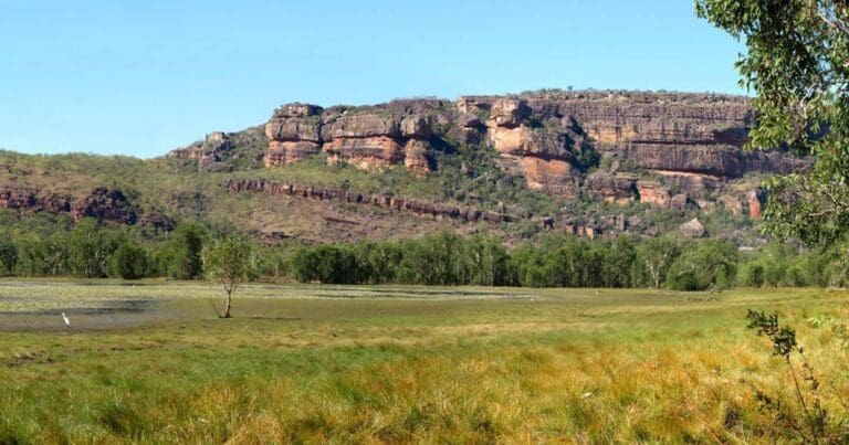 Anbangbang billabong walk