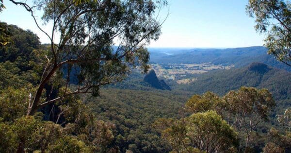 Bellbird Lookout Walk Bellbird lookout walk