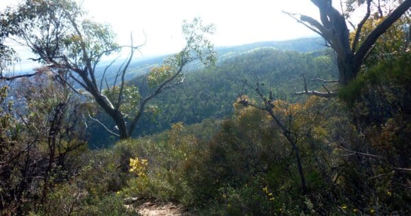 Black Hill Summit Circuit Hike Black hill summit circuit hike