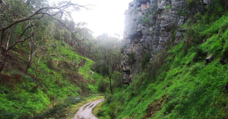 Chambers gully circuit hike