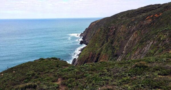 Coastal Cliffs Walking Circuit Coastal cliffs walking circuit