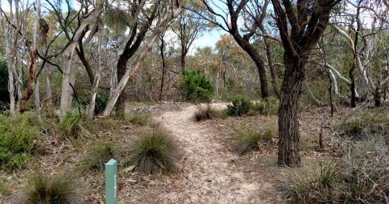 Find a hike or bushwalk