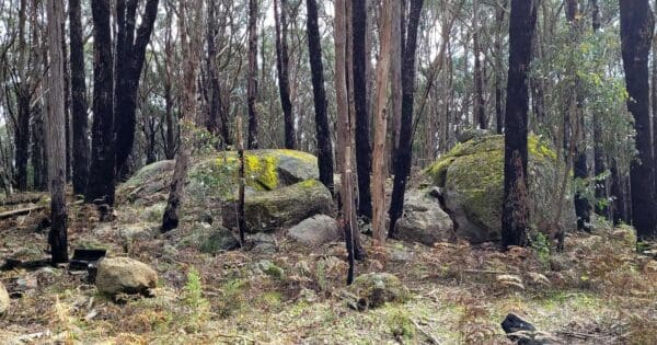 Falls Creek Warragul Rocks Loop Falls creek warragul rocks loop