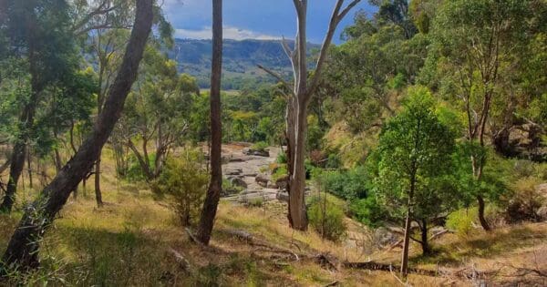 Gawarn Baring Walking Track Gawarn baring walking track