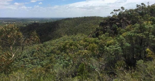 Hale conservation park circuit