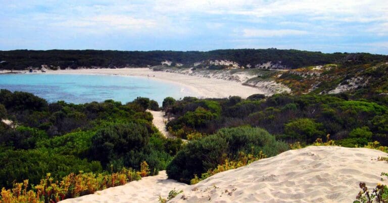 Walks and hikes near adelaide