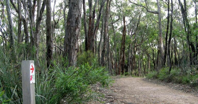 Horsnell Gully & Giles Conservation Park Horsnell gully & giles conservation park