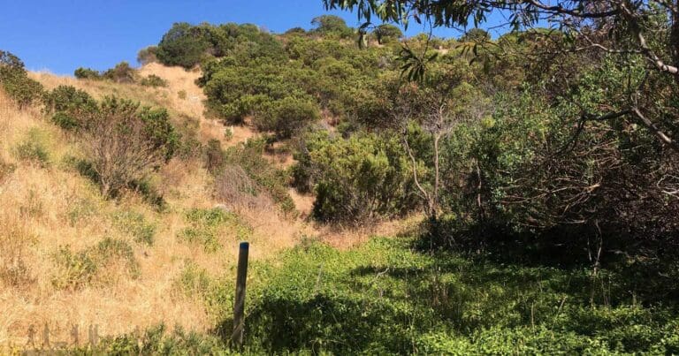 Investigator trail walk
