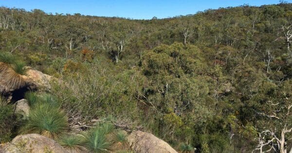 Lizard rock nature walk