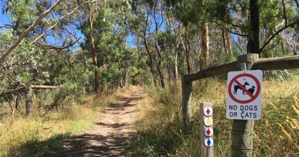 Lobethal Bushland Blue Trail Lobethal bushland blue trail