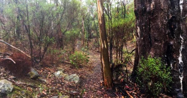Mack creek hike