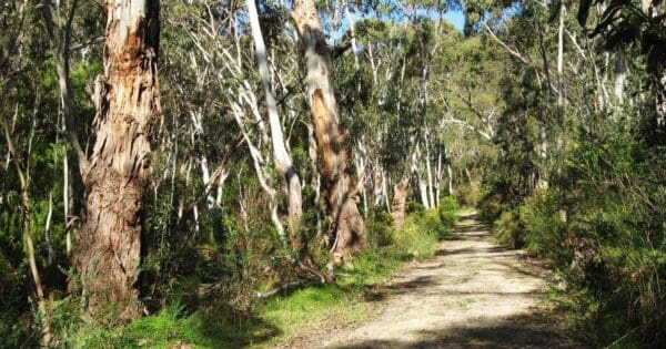 Hikes Main valley and rockdale hill circuit 600x315