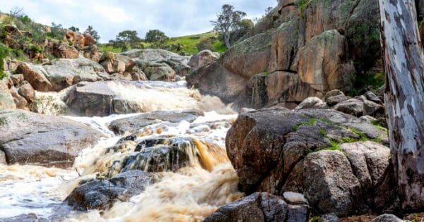 Mannum Waterfalls Mannum waterfalls