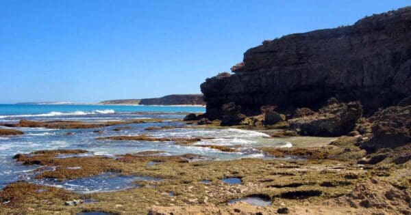Hikes Marion bay to gleesons landing 600x315